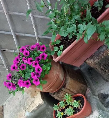 Il Ponticello Apartment